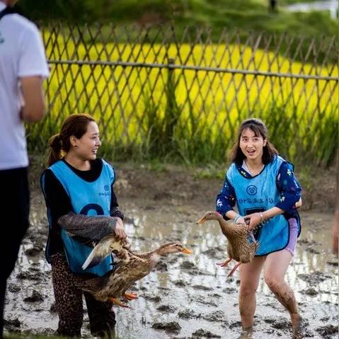 泥坑游乐场团购优惠来袭,最新价格表及优惠信息动态发布