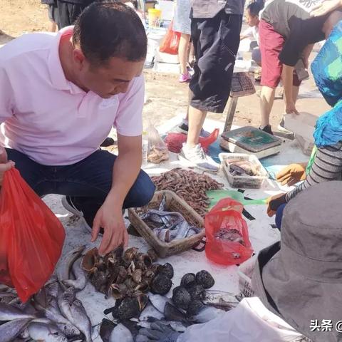 青岛船只租赁费用最新解读，价格表与图片更新汇总