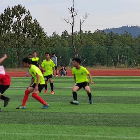 体彩足球赛事更新公告,全面信息一览与便捷查询方式