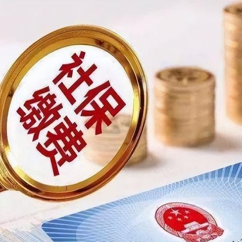 代缴养老保险犯罪案例警示,合规参与,维护社保秩序