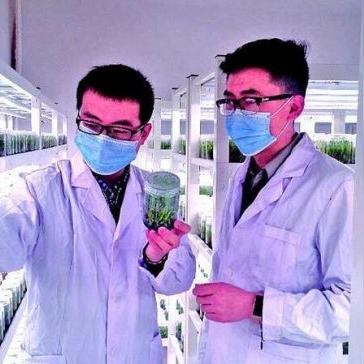 小河封闭路线图解读，探索水资源、景点与生态保护之道