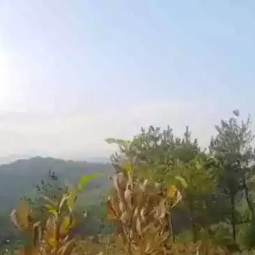 陕西婴儿寄养政策解读，规范行为，保障儿童权益