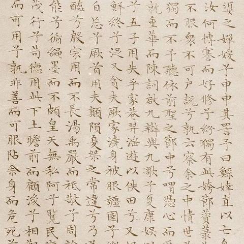 申惟的魅力世界,时尚盛宴,个性风采尽在掌握