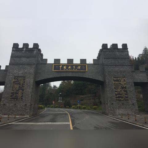 邛崃车祸事件最新进展,事故调查进行中,关注细节待公布