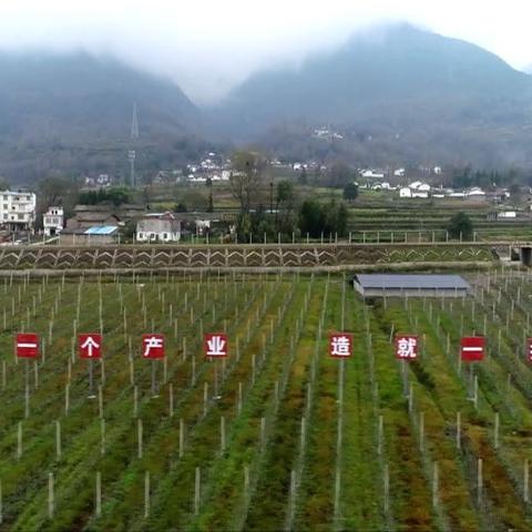 西青学生帮扶政策助力学子成长,共创教育公平新篇章