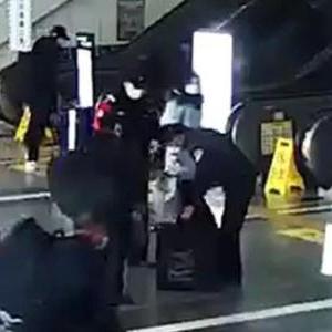 红旗下的环保创新 第13页