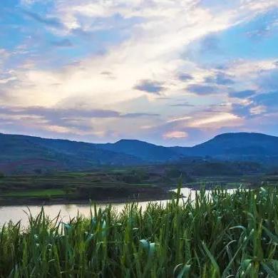 泉河钓鱼视频全集,技巧、经验大分享!