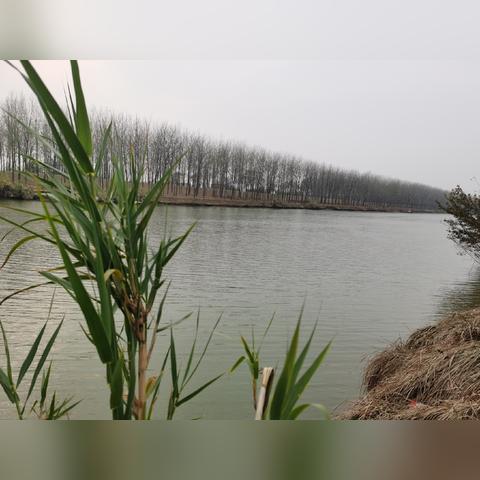 泉河钓鱼视频全集,技巧、经验大分享!