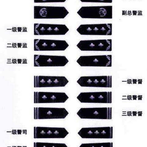 军企共建·生态长城 第12页