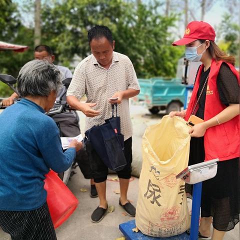 亳州朝天椒价格行情稳定,种植户需关注生长环境与市场需求