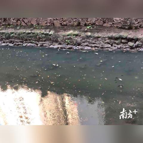 猎德大桥水位变化及安全通行措施通知