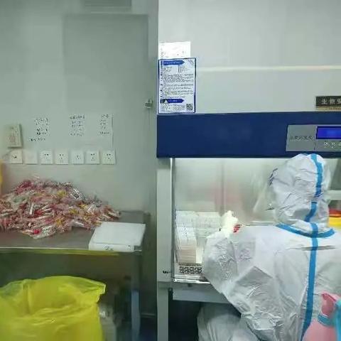 北安核酸价格调整最新动态,今日有望降价!关注官方公告获取准确信息