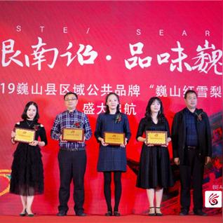 云南拟人贴吧探索之旅，体验自然与人文的独特魅力