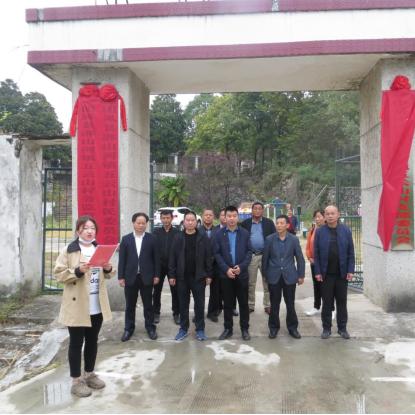 淋山河至金盆水库道路建设进展顺利，助力区域经济发展