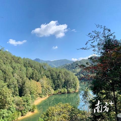 梅州市砍树工人的生活变迁,自然与人文的交融发展之路