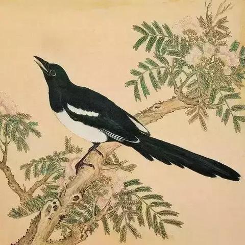 江苏生物竞赛,培养生物学领域新星,激发青少年科研热情。