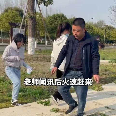 药草栽培全程解析,实用种植技术与经验分享视频集