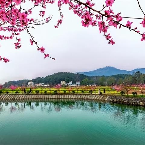 独特创意烟店名合集,摘要,本文为你呈现一系列独特有趣的烟店名字大全集,这些名字充满创意,吸引眼球,让你轻松识别烟店。无论是别具一格的命名风格,还是富有想象力的名字,都能让你感受到烟店的新潮气息。这些奇葩烟店名字不仅能引起你的兴趣,更让你在购物时享受到不一样的体验。