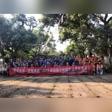 碧桂园,创新理念卓越发展,塑造美好生活空间领军者