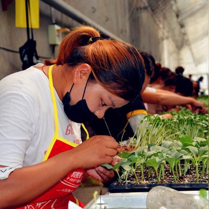 德福生态园团购优惠全新上线,折扣活动丰富,尽享自然休闲之旅!