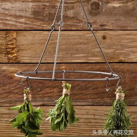 钢丝回收行业稳步发展,企业竞争推动行业前行。