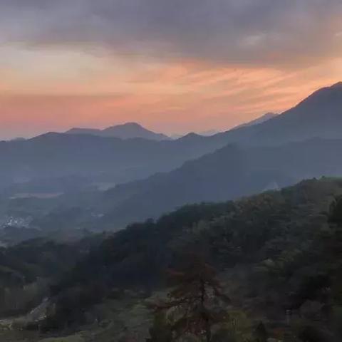 千年匠心·生态传承 第12页