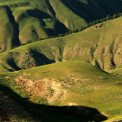 观景台维修改造封路通知,交通管制及注意事项