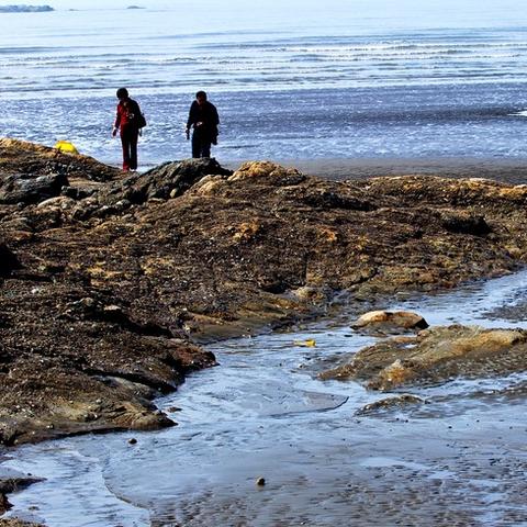 南通白酒老板涉案最新进展,官方尚未明确报道