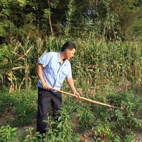 合肥女人醉汉视频引发社会热议,反思现代生活与社会现象