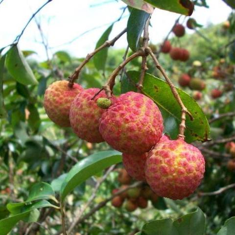 广州户外活动监管加强，违规者整治行动启动，市民需遵守法规维护秩序