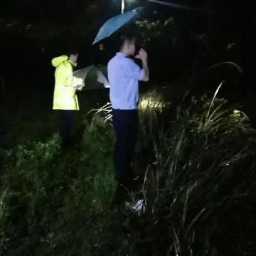 夜舞倾城修改内容解析，情节角色背景大优化，丰富文学价值