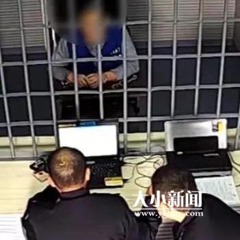 牟平金融诈骗案最新进展与解析,涉案金额巨大,全力追查中