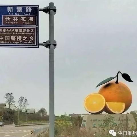 南阳财神庙拆迁,城市发展的见证与未来规划