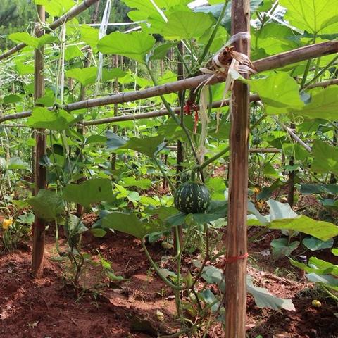 满山香农庄团购优惠全新上线,团队预订享更多福利!