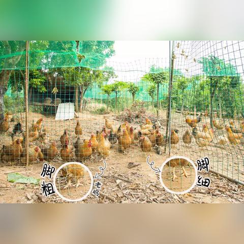 满山香农庄团购优惠全新上线,团队预订享更多福利!