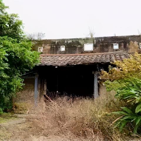 莆田山野泡茶价格表及市场分析,需求增加,前景广阔