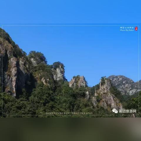 莆田山野泡茶价格表及市场分析,需求增加,前景广阔