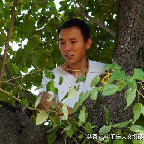 千年匠心·生态传承 第10页