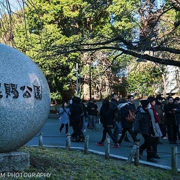 东京抓怪游戏攻略大全,玩法、角色、关卡全解析