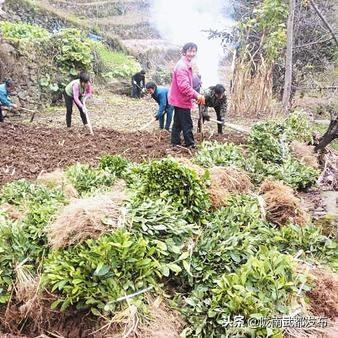 陇南恶劣事件最新进展,政府积极应对处理,期待尽快平息事态