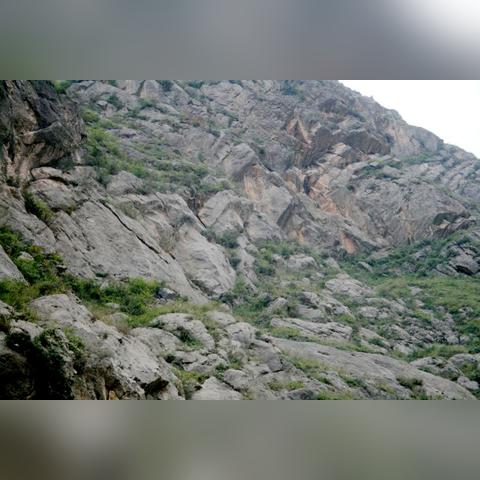 陇南恶劣事件最新进展,政府积极应对处理,期待尽快平息事态