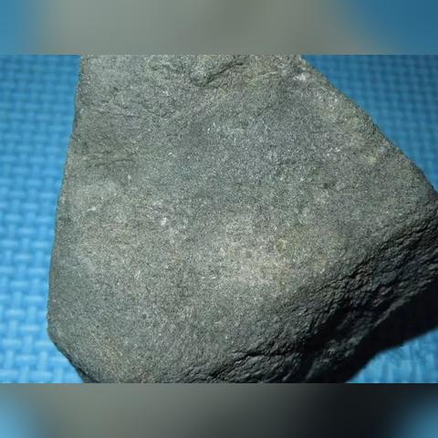 我为家乡献绿材 第9页