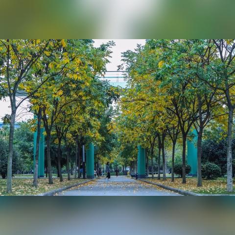 烟草行业监管加强,未来发展前景引关注