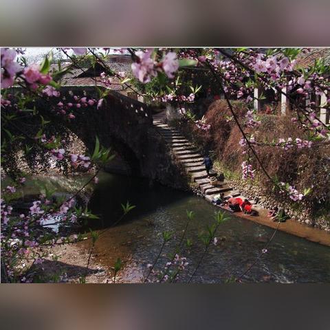 华彩天地视频大全,高清影视资源,畅享视觉盛宴