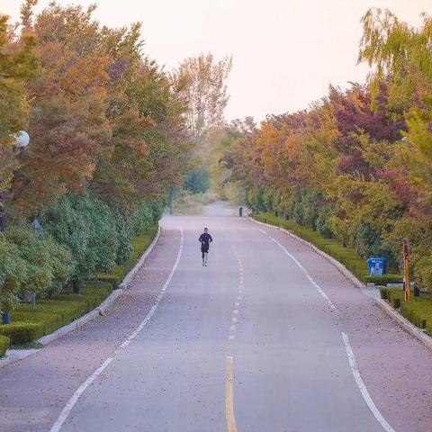 华彩天地视频大全,高清影视资源,畅享视觉盛宴