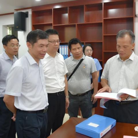 吴川高铁最新动态,现代化交通新进展展示图