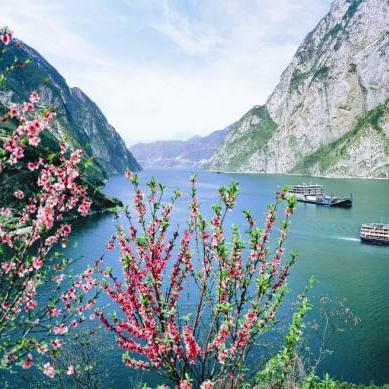 宜昌坝上过江通道规划进展顺利,助力区域交通与经济双赢发展