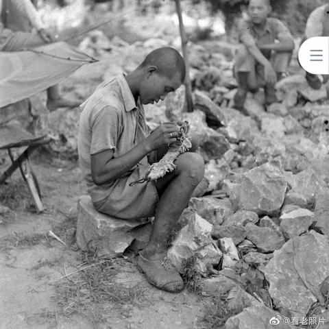 广西杂技团队招聘启事，寻求才艺之星，共筑杂技辉煌