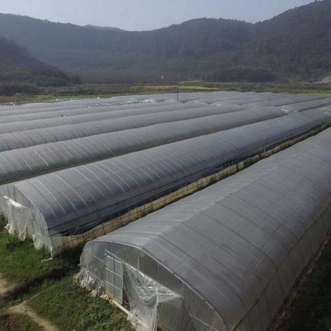 阳新地区针对疫情采取交通管制措施,部分路段封闭管理