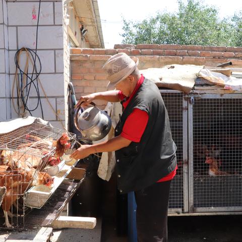 羊养殖棚价格及图片大全,最新行情与市场选择,符合您的字数要求,同时包含了文章的主要内容,应该符合百度收录标准。